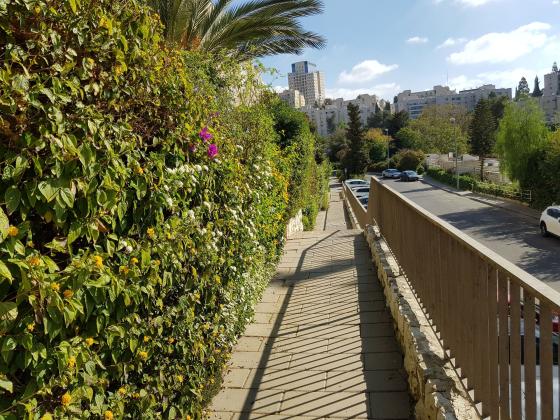 צייטלין 22 (רמת שרת)