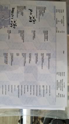 רועה בלגי עם תעודות fci