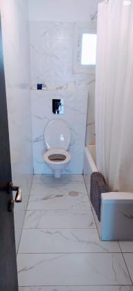 קני סוף 9 (חב"ד)