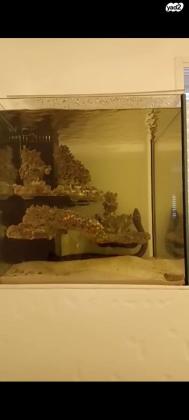 למכירה אקווריום מים מלוחים גודל