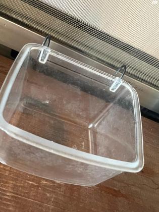 חמוס לבן אף ורוד מהמם