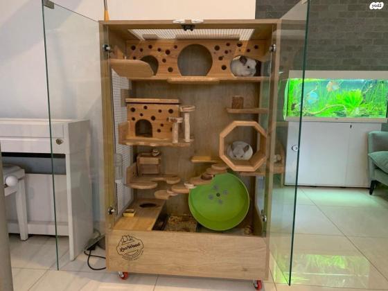 למחירה 2 צ״ינצ״ילות יחודיות ויפיפיות+