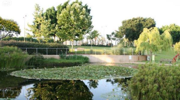 סמטת יפתח 8 (תל גנים- קרית בורוכוב)