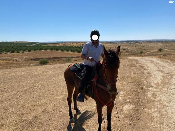 סוס טנסי מעולה, צעד