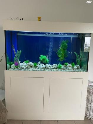 אקווריום גדול 600 ליטר, 150X80