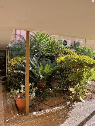 הרצל 75 (מרכז העיר דרום)