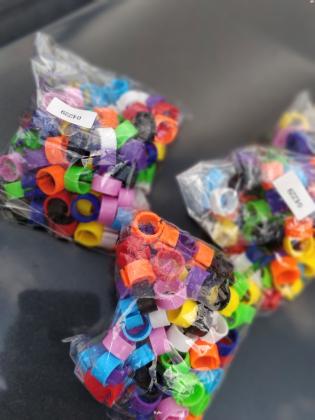 טבעות ליונים פרסים