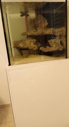 למכירה אקווריום מים מלוחים גודל