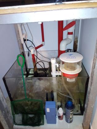 למכירה אקווריום מים מלוחים גודל