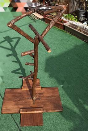 סטנד לתוכי מעץ אקליפטוס טבעי