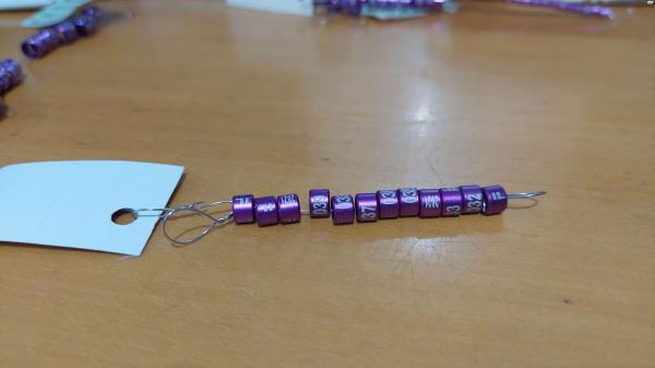 טבעות לתוכים מגוון מדות 2021לתוכונים