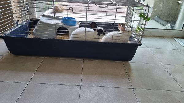למכירה כלוב ארנבים גדול כולל