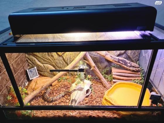 טרריום BOYU 80x45x40 ,שלוש מסתורים