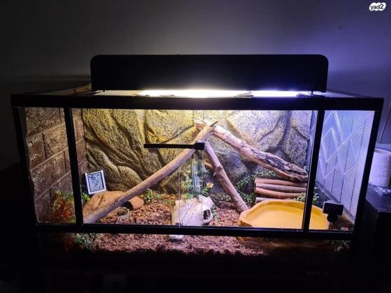 טרריום BOYU 80x45x40 ,שלוש מסתורים