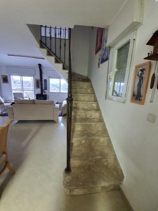 שמואל תמיר כצנלסון 45 (פסגת זאב מערב)