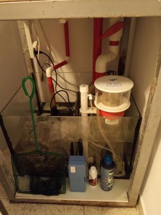 למכירה אקווריום מים מלוחים גודל