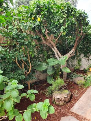 העמל 5 (נחלת גנים)