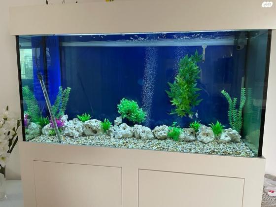 אקווריום גדול 600 ליטר, 150X80