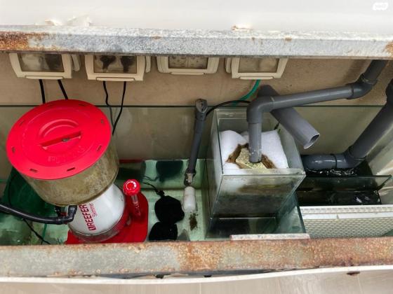 אקווריום 1000 ליטר מים מלוחים