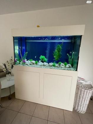 אקווריום גדול 600 ליטר, 150X80