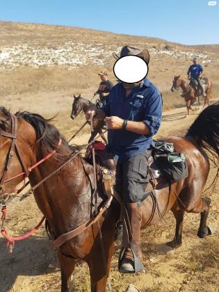 סוס טנסי מעולה, צעד