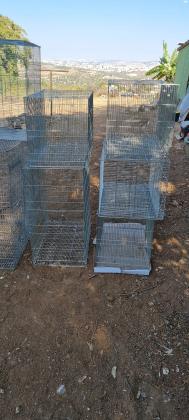 כלובי ריבוי במצב חדש