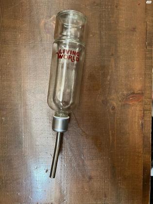 חמוס לבן אף ורוד מהמם