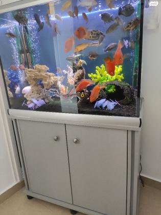 אקווריום פורמולה 80 ס"מ מרובע