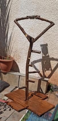 סטנד לתוכי מעץ אקליפטוס טבעי