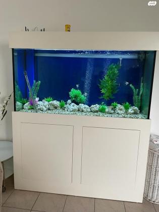אקווריום גדול 600 ליטר, 150X80