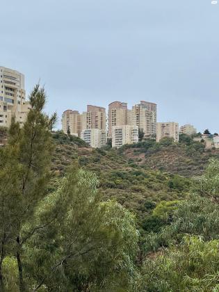 אבא הלל סילבר 43 (יזרעאליה)