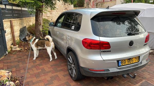 פולקסווגן טיגואן (2012)