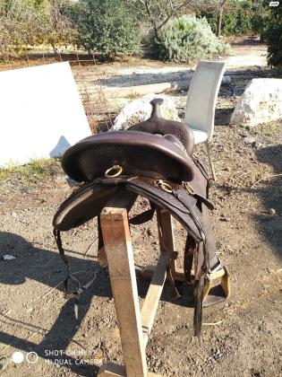 אוכף ביג הורן 1701 פלקס