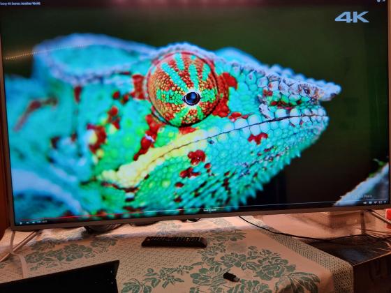 טלוויזיה Masimo חכמה 65 אינץ