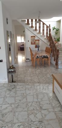 גרושקביץ' 37