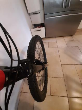 אןפניי הרים זנב קשיח גלגלים