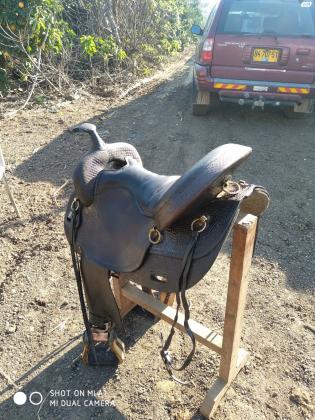 אוכף ביג הורן 1701 פלקס