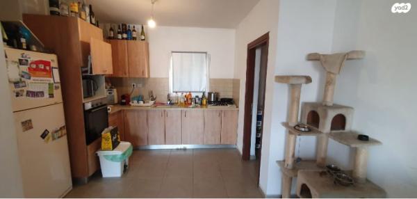 הרב נורוק 3 (אפרידר)