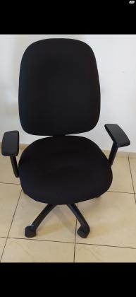 כיסא מנהלים של חברת צרעה