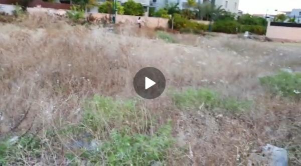 מרום גולן 49 (נווה דקלים)