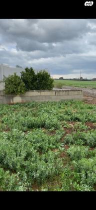 אסתר המלכה 18 (רובע יזרעאל)