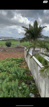 אסתר המלכה 18 (רובע יזרעאל)