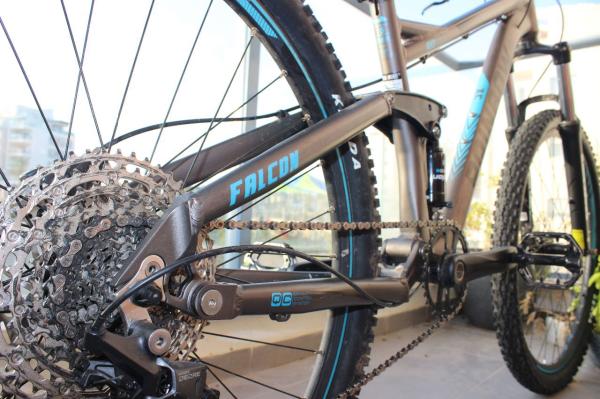 RAINBOW FALCON M2021צבע אפור