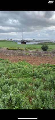 אסתר המלכה 18 (רובע יזרעאל)