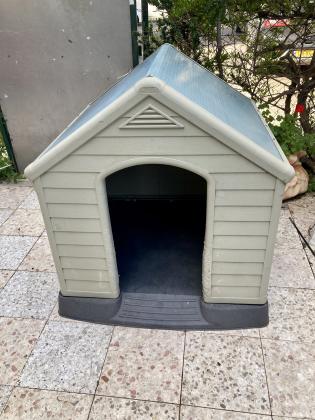 מלונה של חברת כתר לכלב גדול