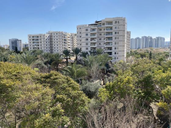 אגוזים 5 (סביוני ים)