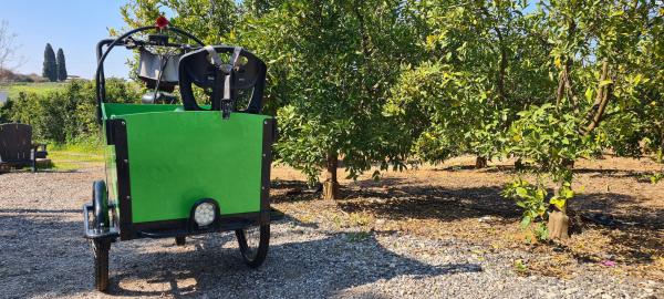 תלת אופן עם ארגז לעד