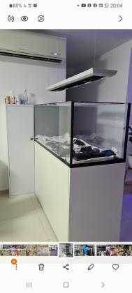 למכירה אקווריום פינינסולה רד סי 650