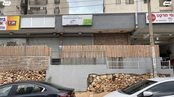 אריה מוצקין 1 (נאות שקד)