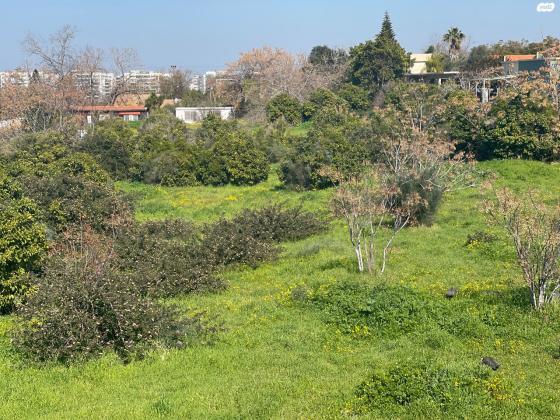 מבוא הגפן 75